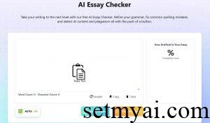 AI Essay Checker Homepage