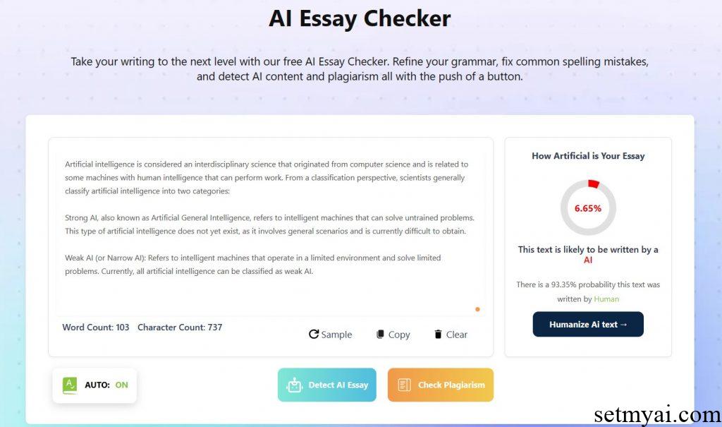 AI Essay Checker Result