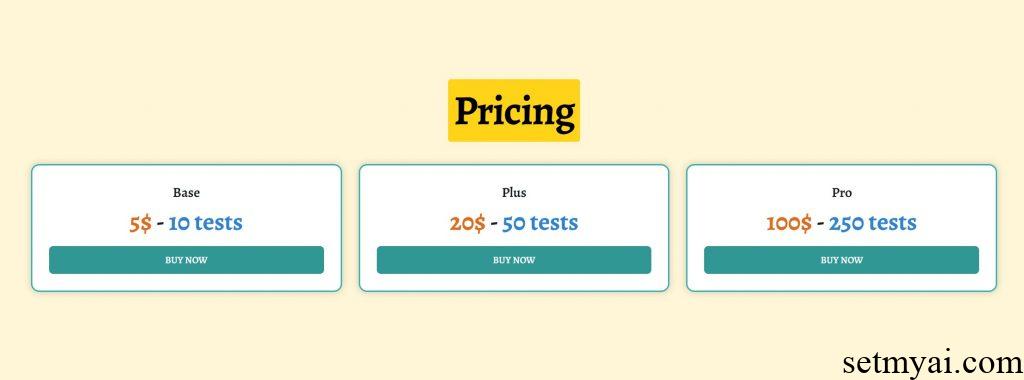 TestMyWebsite Pricing
