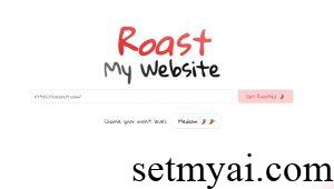 Roast My Website Homepage