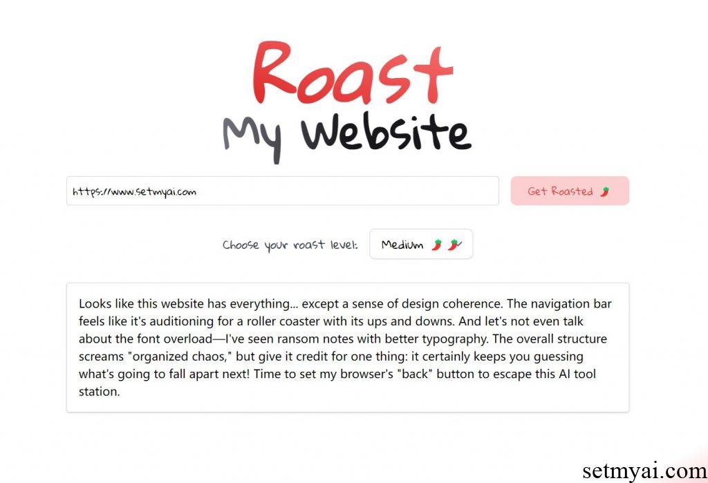 Roast My Website Medium Result