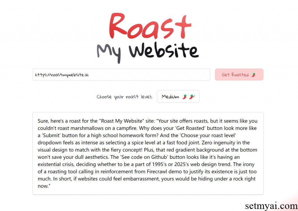 Roast My Website Own Result